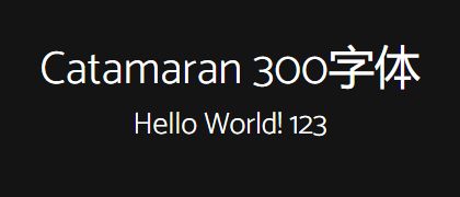 Catamaran-300